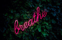 breathe_header